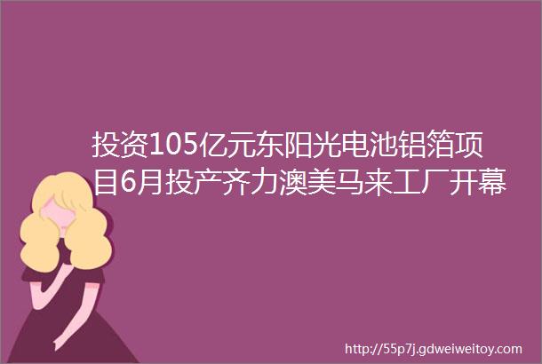 投资105亿元东阳光电池铝箔项目6月投产齐力澳美马来工厂开幕